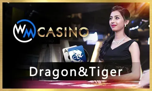 Slots & JILI Games
